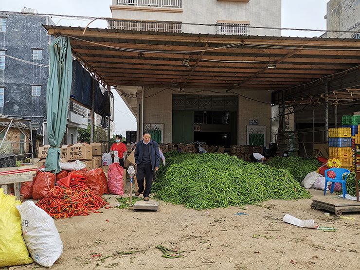 Z6·尊龙凯时「中国区」官方网站