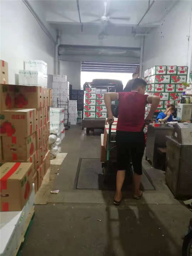 Z6·尊龙凯时「中国区」官方网站