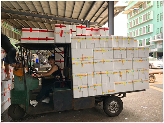 Z6·尊龙凯时「中国区」官方网站