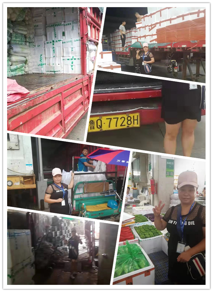 Z6·尊龙凯时「中国区」官方网站