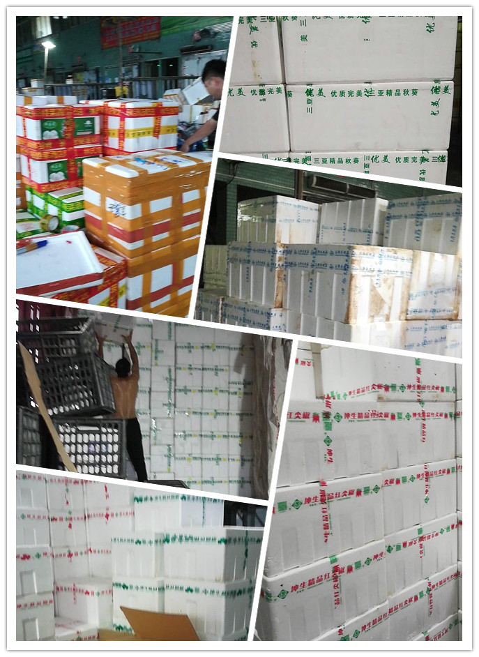 Z6·尊龙凯时「中国区」官方网站