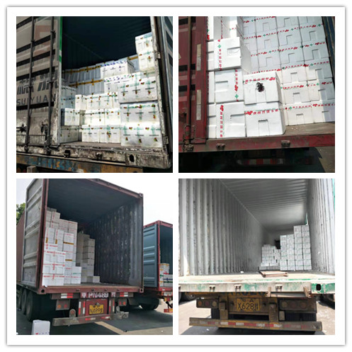 Z6·尊龙凯时「中国区」官方网站