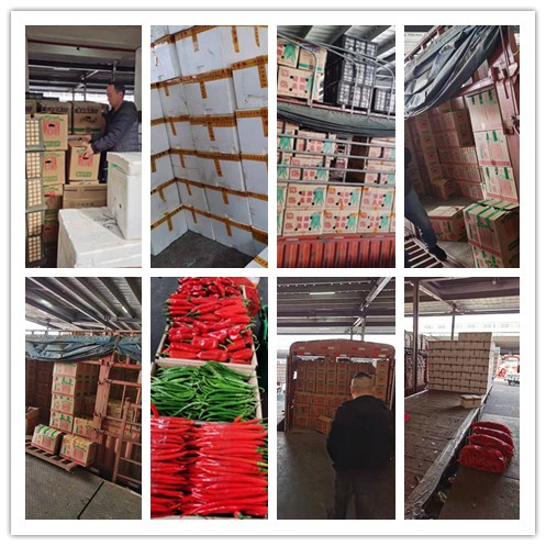 Z6·尊龙凯时「中国区」官方网站