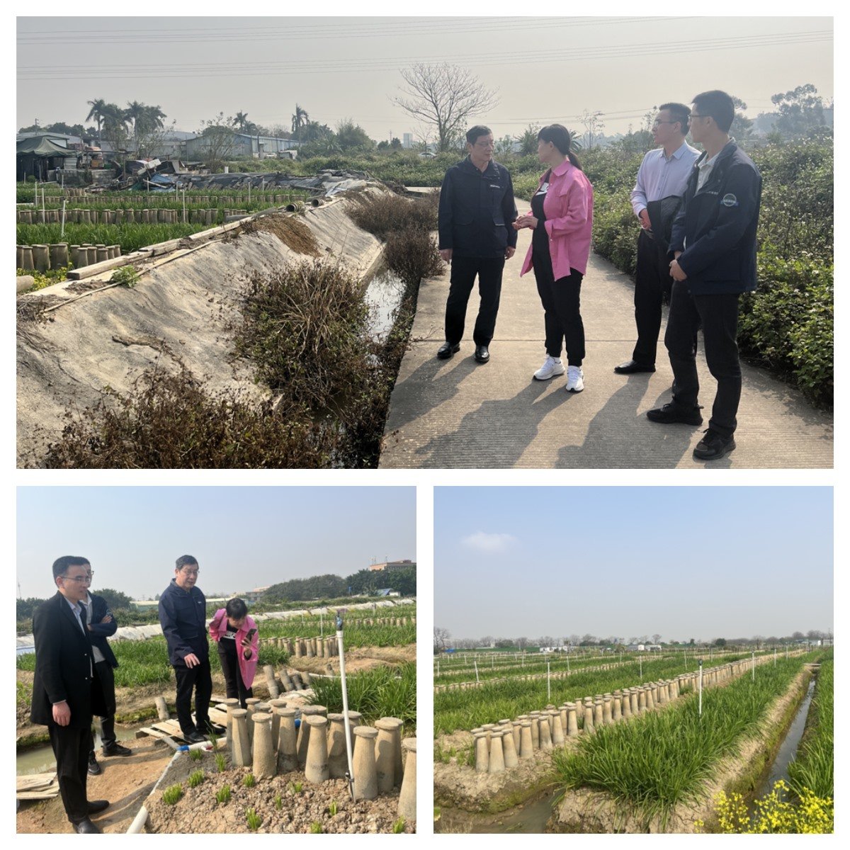 Z6·尊龙凯时「中国区」官方网站