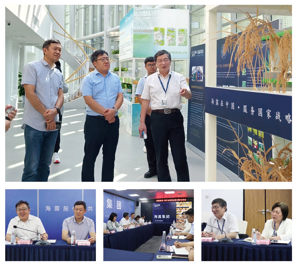 Z6·尊龙凯时「中国区」官方网站