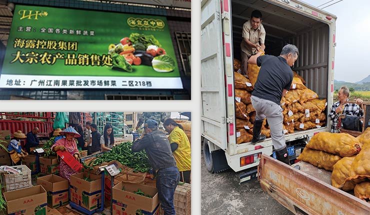 Z6·尊龙凯时「中国区」官方网站