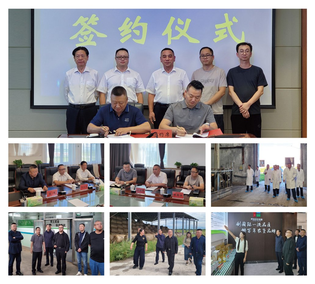 Z6·尊龙凯时「中国区」官方网站