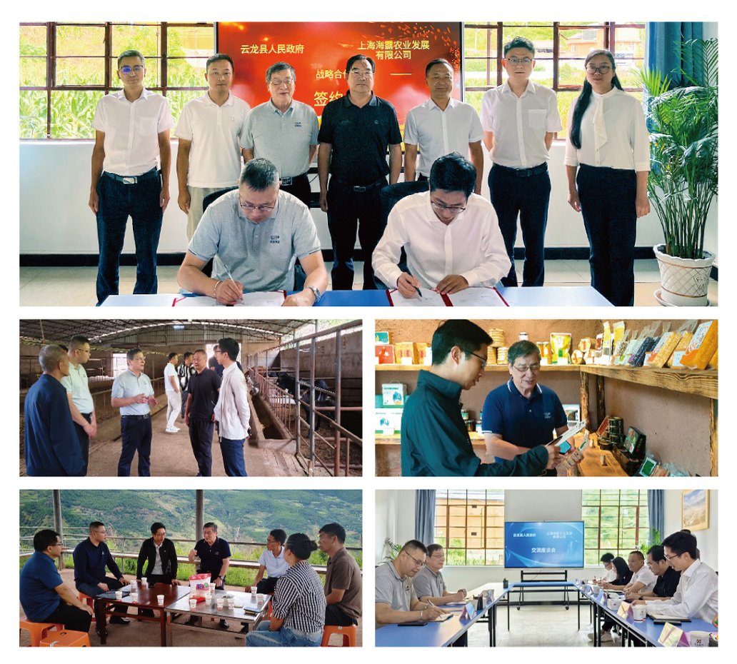 Z6·尊龙凯时「中国区」官方网站